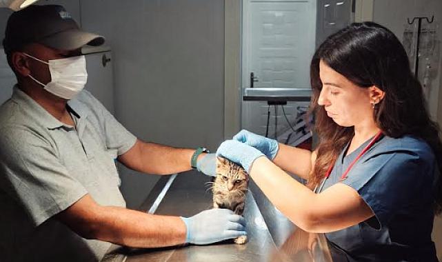 NARLIDERE BELEDİYESİ’NDE  CAN DOSTLAR İÇİN HUMMALI ÇALIŞMA