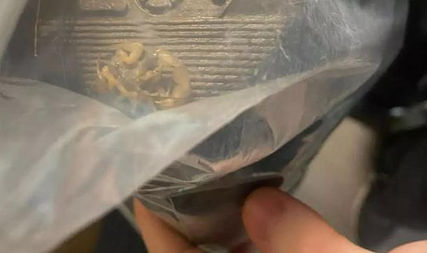 18 yaşındaki üniversite öğrencisi İnternetten bot sipariş etti, kutuyu açtığında hayatının şokunu yaşadı