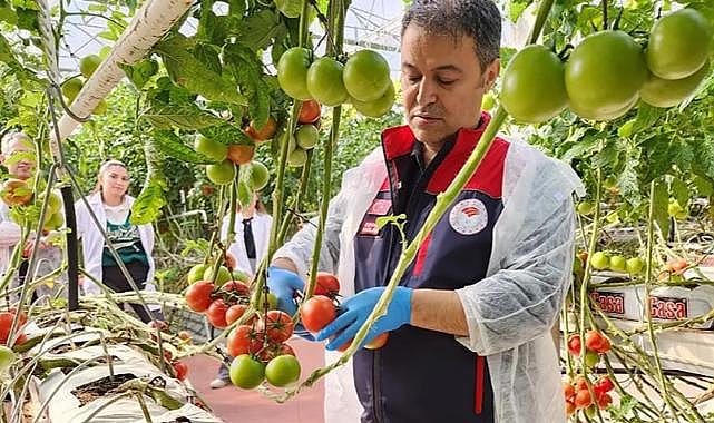 Afyon&#039;da Üretiliyor, Avrupa&#039;ya İhraç Ediliyor