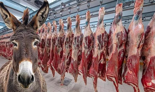 Bu markalardan uzak durum! Vatandaşa dana eti diye at ve eşek eti yedirmişler