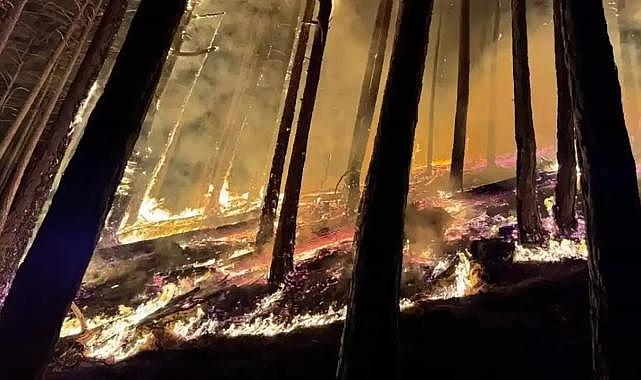 Denizli 5 gündür alev alev