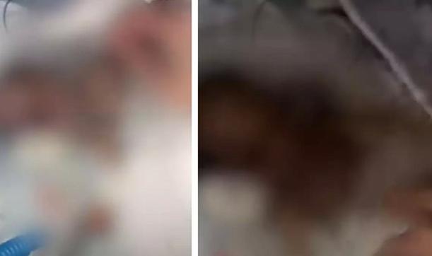 Skandal iddia: Haksız kazanç uğruna 12 bebeğin ölümüne göz yumuldu