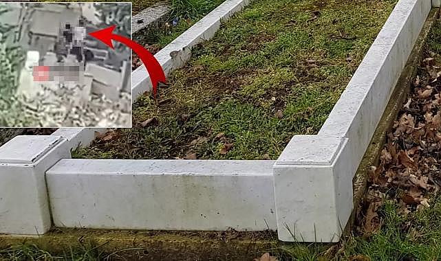 Utanmazlığın böylesi! Güpegündüz mezarlıkta cinsel ilişkiye girdiler