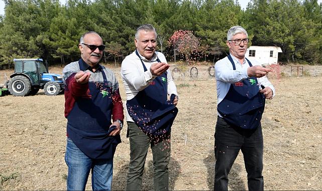 Bornova&#039;dan tarıma destek: Ege Yıldızı buğdayı toprakla buluştu