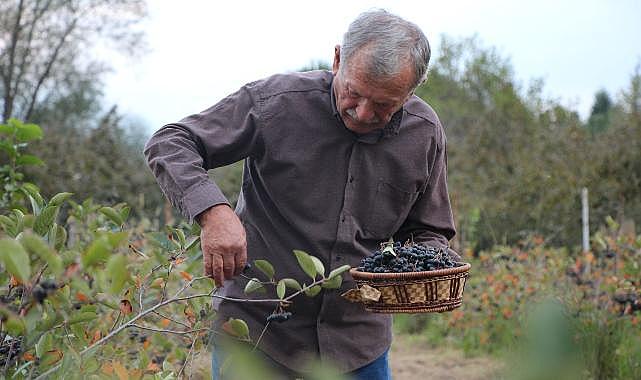 Eşinin rahatsızlığı için ekti, şimdi siparişlere yetişemiyor