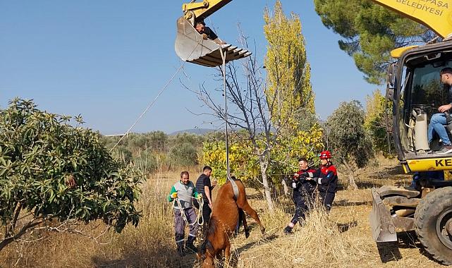 Kemalpaşa&#039;da su kuyusuna düşen yılkı atı kurtarıldı