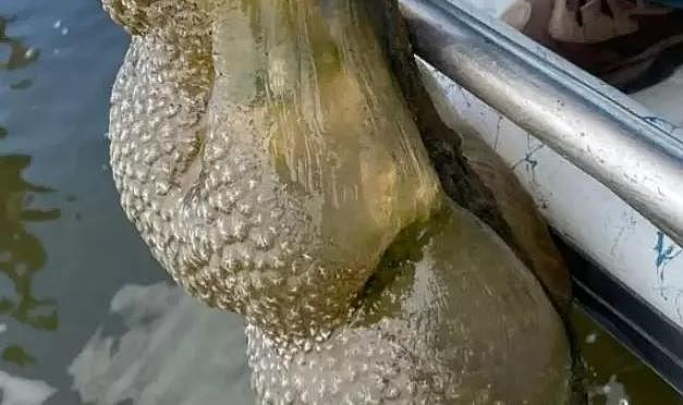 Kimsenin ne olduğunu anlayamadığı gizemli kese, nehirde ortaya çıktı