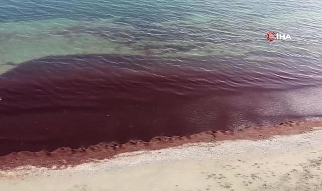 Tekirdağ kıyıları kırmızı renge büründü