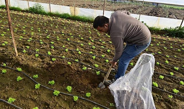 'Hümik Asit uygulamasıyla verimli topraklar, sağlıklı ürünler' İzmir’de örnek proje tanıtıldı