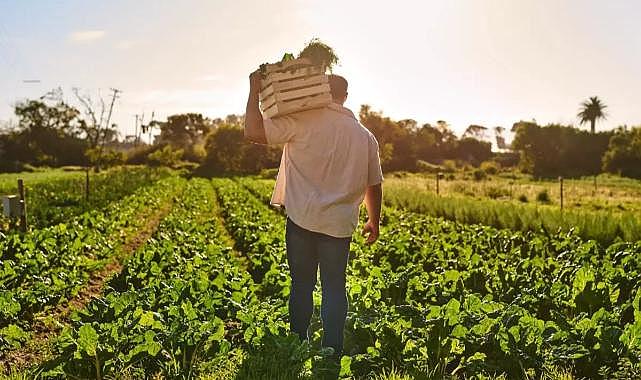 İşte yarım milyon kişiye istihdam sağlayacak plan