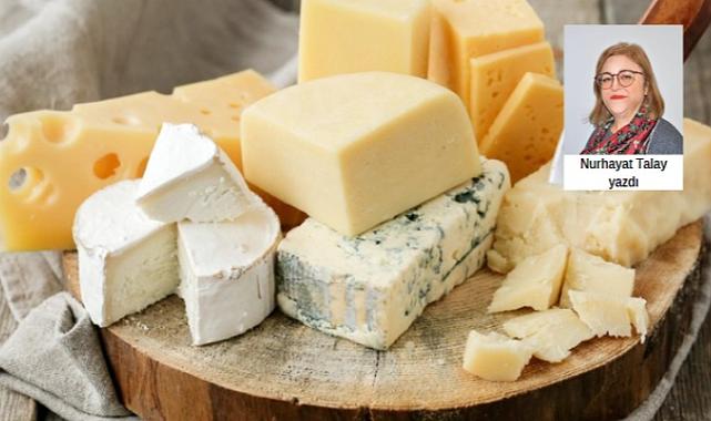 Türkiye&#039;nin peynirleri 3. Bölüm