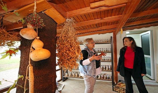 Yaklaşık 500 bin paket tohum vatandaşa ulaştırıldı