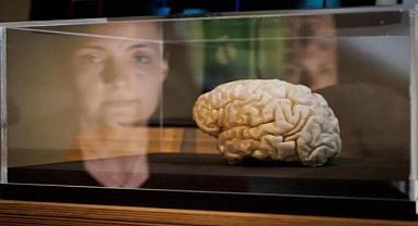 Yapay zekanın fikir babası pişman: İnsan ırkını 10 yıl içinde yok edebilir