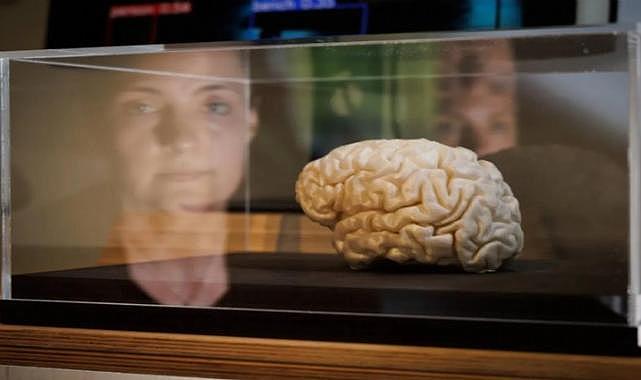 Yapay zekanın fikir babası pişman: İnsan ırkını 10 yıl içinde yok edebilir