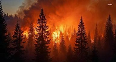 ABD'de dev yangın: 30 bin kişiye tahliye emri verildi