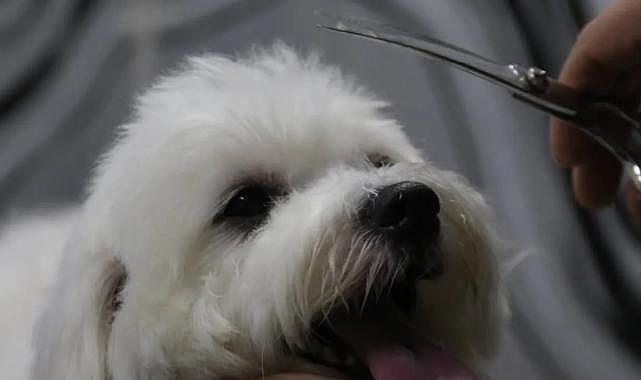 Bu meslekte 2 Saatte 1500 TL kazanıyor: Talep gittikçe artıyor!