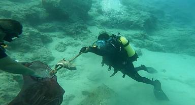 Denizlerden 245 bin ton çöp çıkarıldı