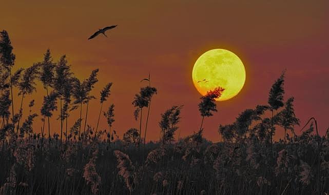 Dolunay Yengeç Burcunda: Bu Gece Uygulanması Gereken Ritüel