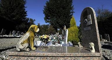 Evcil hayvanlar sahiplerinin mezarına gömülebilecek!