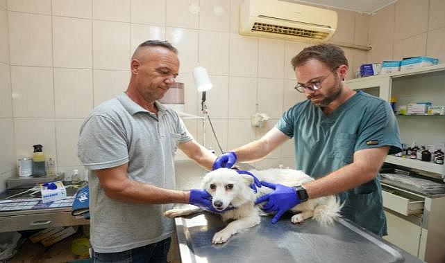 Gaziemir Belediyesi&#039;nden 6 bin 222 can dosta şefkat eli