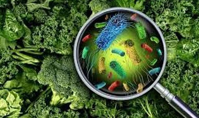 İzmir&#039;de bir kişinin canını almıştı! Sinsi tehlike Salmonella&#039;yı uzmanı anlattı...