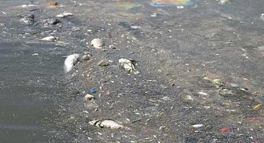 İzmir Körfezi'nde Yaşanan Kirliliğe İlişkin Soruşturma Başlatıldı