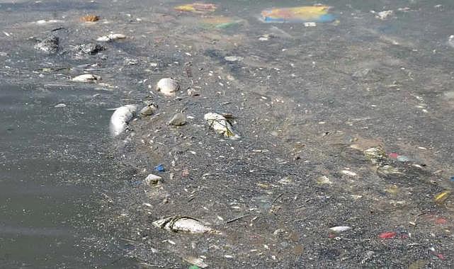 İzmir Körfezi&#039;nde Yaşanan Kirliliğe İlişkin Soruşturma Başlatıldı