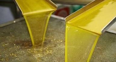 TARİŞ ZEYTİN YAĞI ALIM FİYATINI AÇIKLADI!