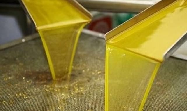 TARİŞ ZEYTİN YAĞI ALIM FİYATINI AÇIKLADI!