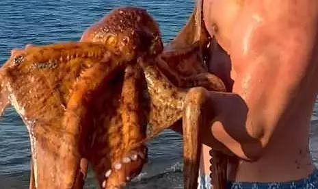 Ünlü model, denizde yüzdüğü sırada ahtapot saldırısına uğradı