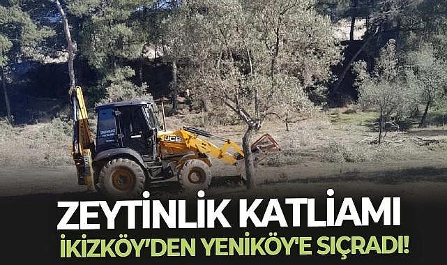 Zeytinlik katliamı İkizköy’den Yeniköy&#039;e sıçradı!