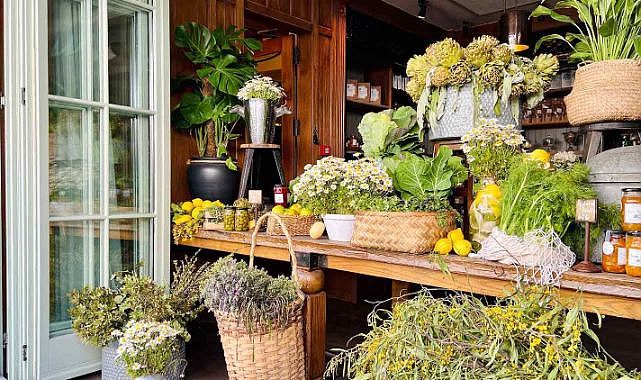 14. Alaçatı Ot Festivali 17-20 Nisan 2025 Tarihlerinde Gerçekleşecek