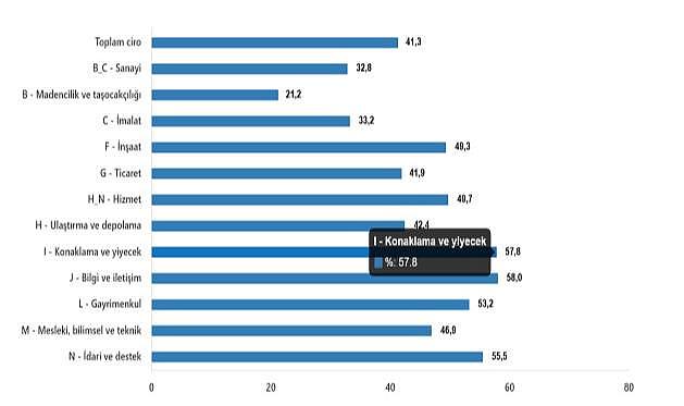 Ciro Endeksleri, Aralık 2024