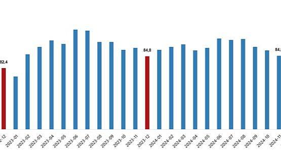 Dış Ticaret Endeksleri, Aralık 2024