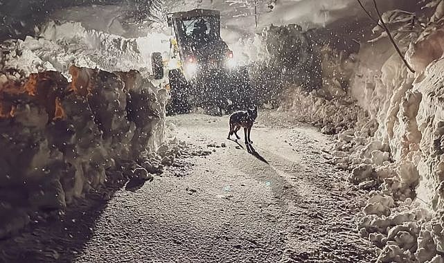 Kar kalınlığının 6 metreyi bulduğu Artvin&#039;de okullar 1 haftadır tatil