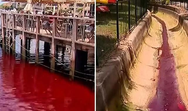 Nehir aniden kırmızıya dönüştü, kimse ne olduğunu anlamadı