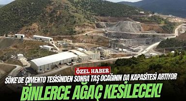Söke’de çimento tesisinden sonra taş ocağının da kapasitesi artıyor: Binlerce ağaç kesilecek!