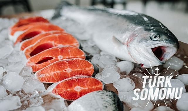 Türk somonu ihracatı 5 yılda 17 kat arttı