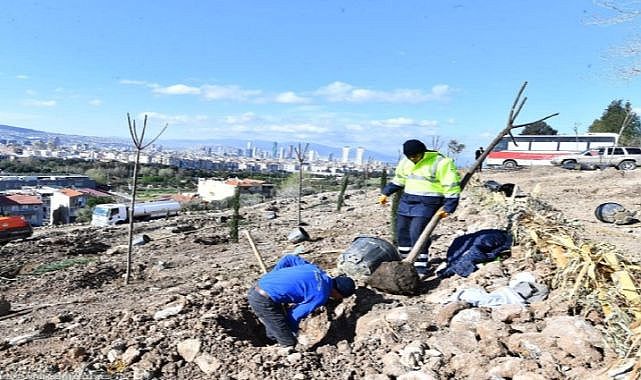 Bornova&#039;ya yeni orman çalışmaları son sürat devam ediyor