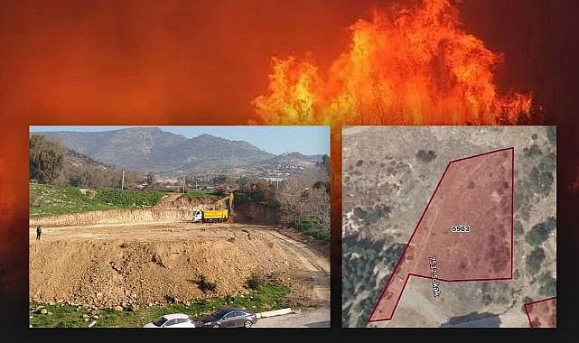 İzmir’de büyük yangınla yok olan ormanlık alan otoparka dönüşüyor!