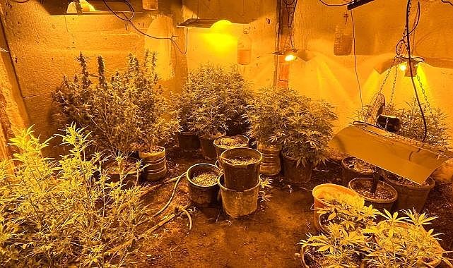 İzmir&#039;de zehir tacirleri tutuklandı!