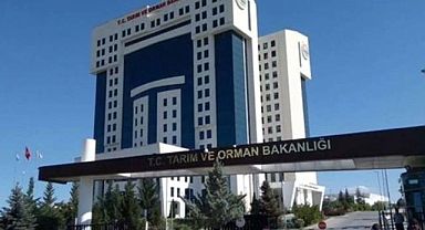 Tarım ve Orman Bakanlığı 3.447 sözleşmeli personel alacak