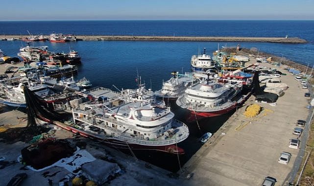 Türkiye’de 1 Eylül’de başlayan balık avı sezonu 15 Nisan’da sona erecek