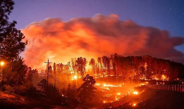 Yangın kabusu kapıda: OGM’den acil kodlu çağrı!