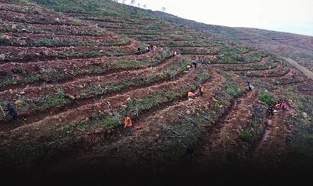 Başkan Tugay&#039;dan &#039;yanan ormanlık alanlar ağaçlandırılmıyor&#039; çıkışı... Buralar yaşanmaz hale gelir!