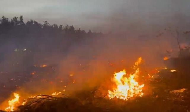 Denizli&#039;de köylüler ve ekiplerin seferber olduğu yangın kontrol altına alındı