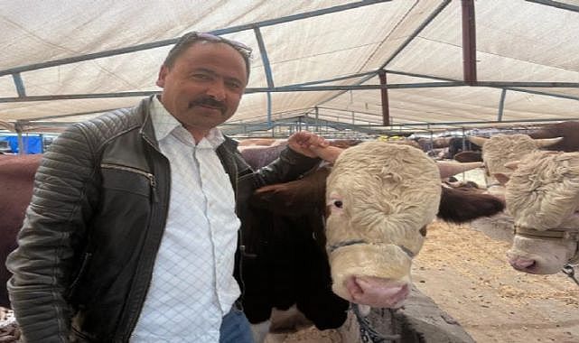 Hayvan sayısı azaldı, fiyatlar arttı: İzmir’de kurbanlık telaşı başladı