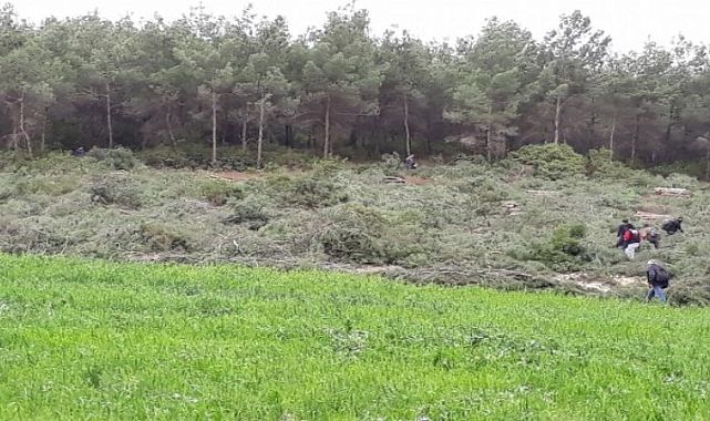 İzmir’de 7 milyon 473 bin 562 metrekare orman alanına yapılaşma yolu: Orman alanı dışına çıkarıldı