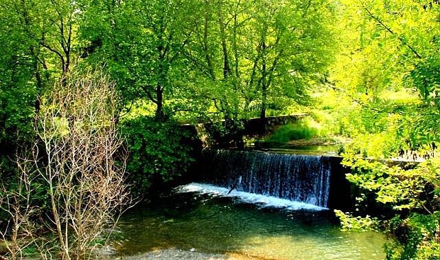 İzmir&#039;e 2 saat uzaklıktaki şifa noktası: Doğal kaplıcalar, havuz, piknik alanları ve daha fazlası...