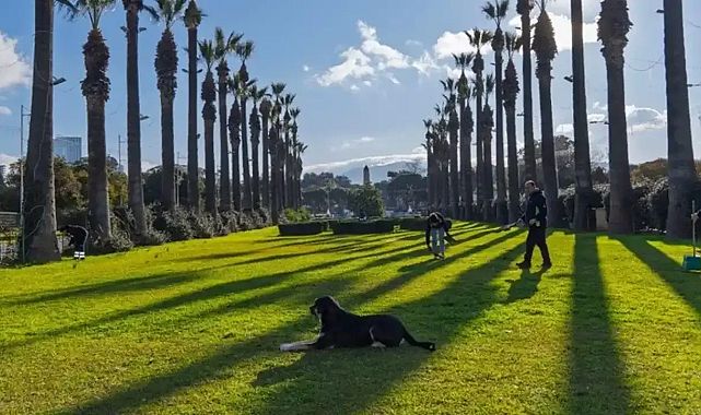 İzmir&#039;e yeşil koridor geliyor: Kültürpark ve Yeşildere birleşecek